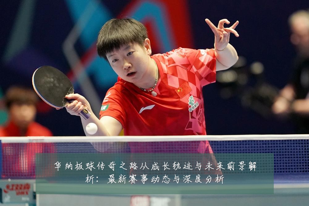 华纳板球传奇之路从成长轨迹与未来前景解析:最新赛事动态与深度分析